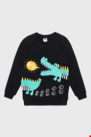 Deška majica Dinosaurus