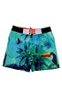 Fantovske kratke hlače za plavanje Paradise 16A_31711_01