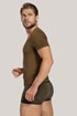 Moški SET majice in boksaric Dandy, zelena AU347gree_set_09